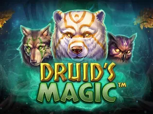 Druid’s Magic screenshot